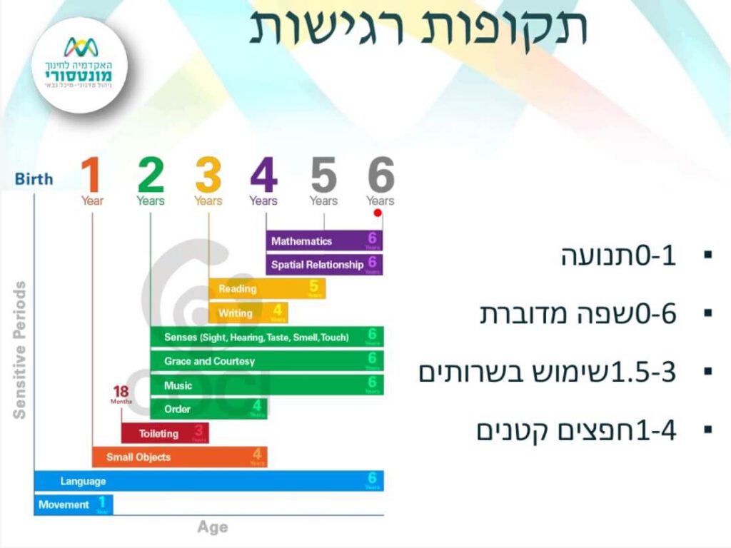 תקופות רגישות בגישה המונטסורית